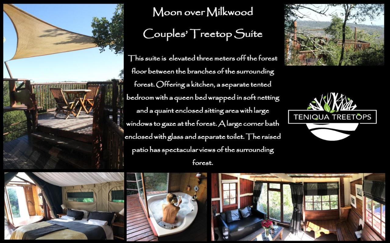 Teniqua Treetops 3* Karatara Settlement