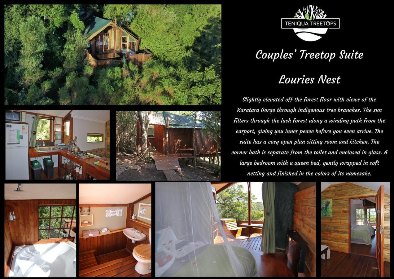Luxury tent Teniqua Treetops