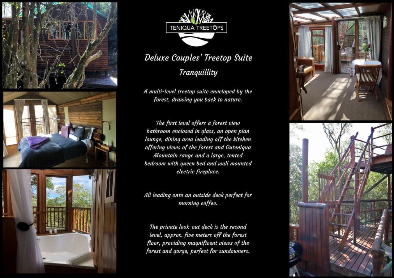 Teniqua Treetops Luxury tent