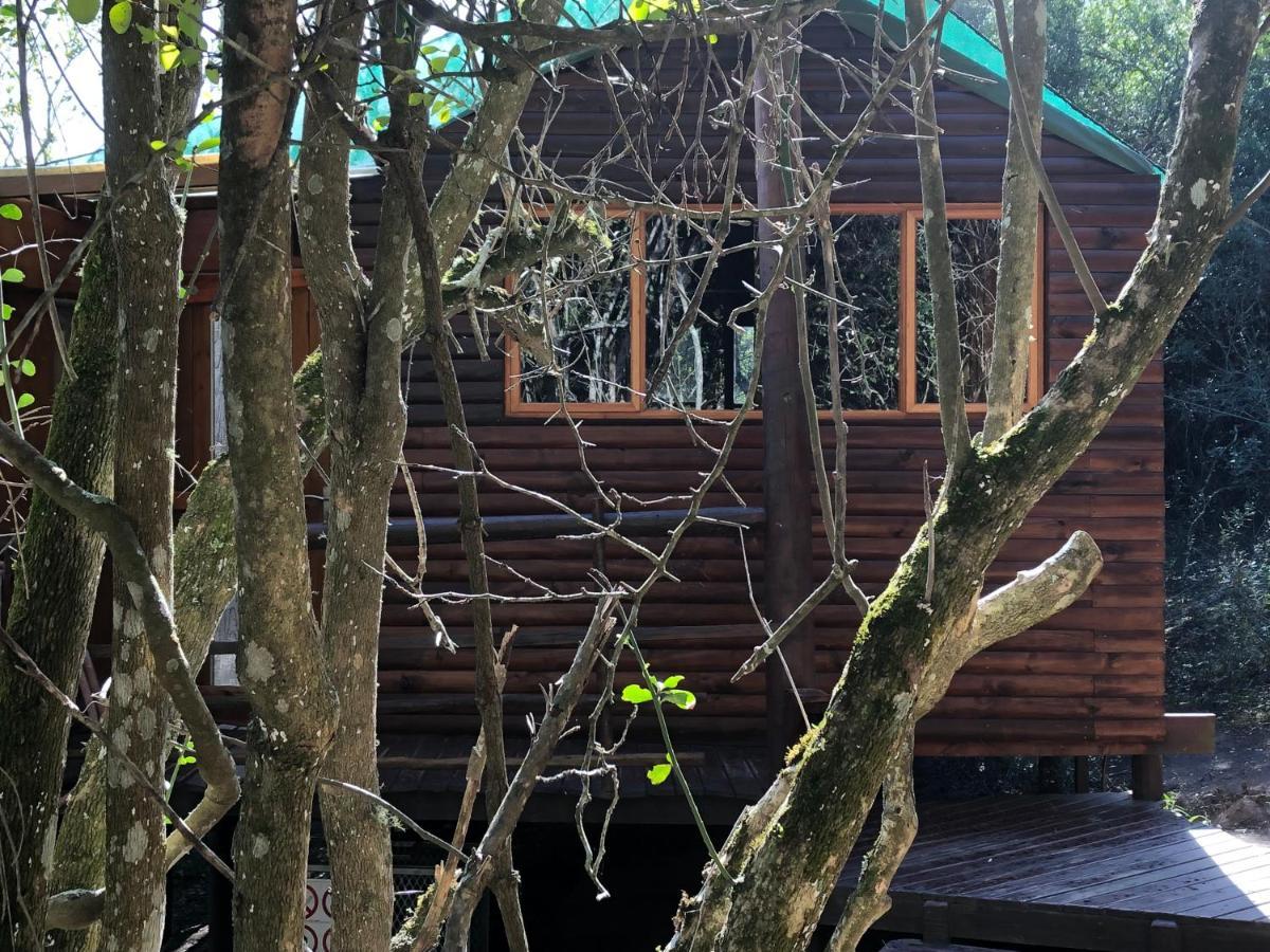 Teniqua Treetops Karatara Settlement