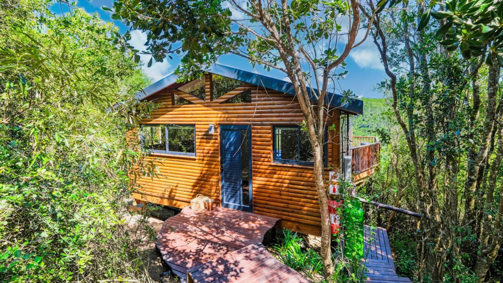 Luxury tent Teniqua Treetops Karatara Settlement