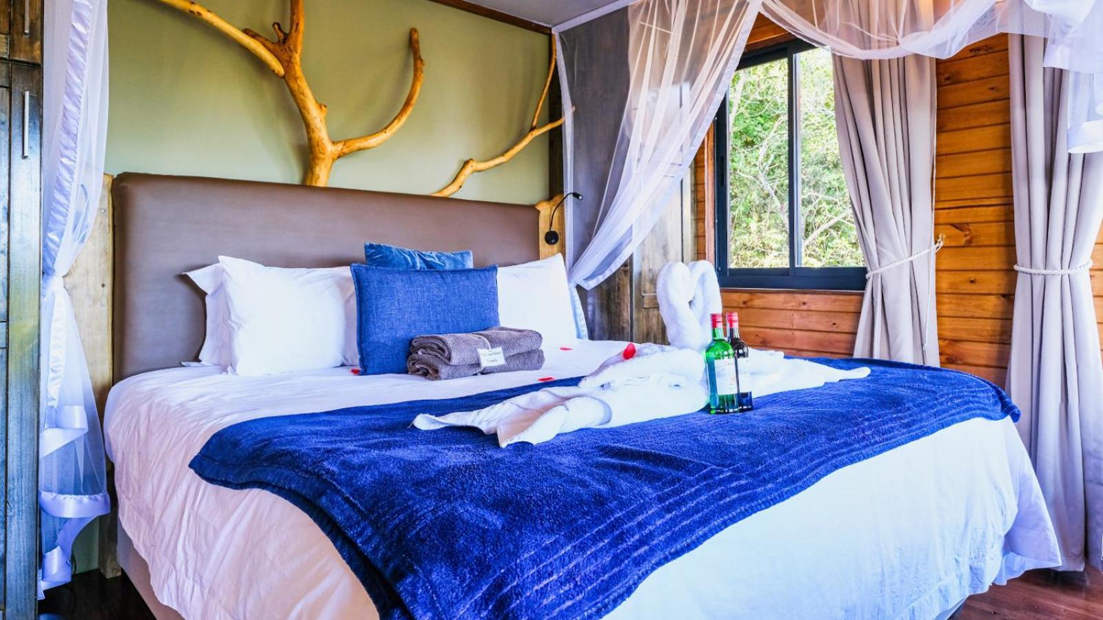 Luxury tent Teniqua Treetops