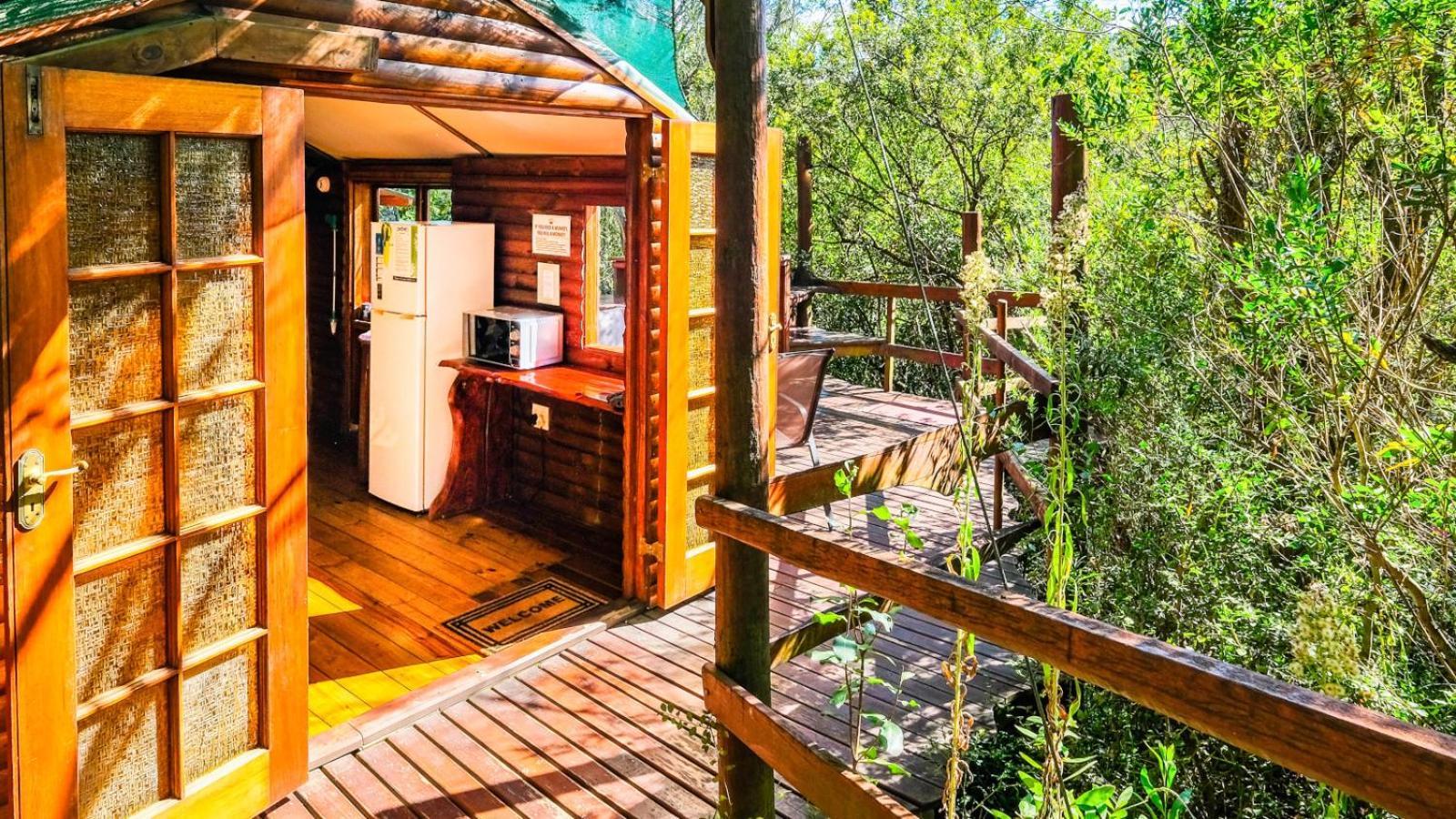 Teniqua Treetops Luxury tent