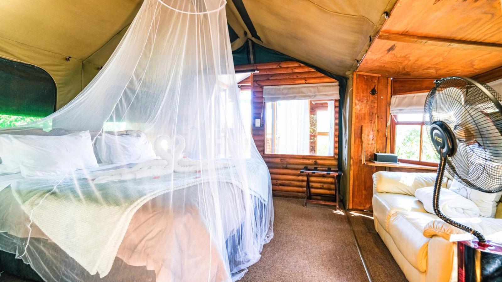 Luxury tent Teniqua Treetops