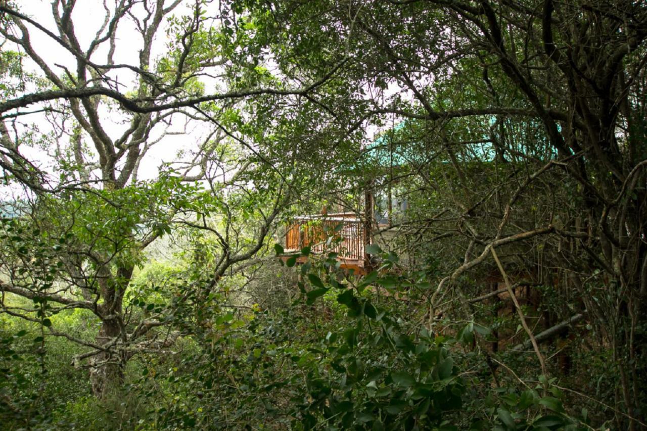 Luxury tent Teniqua Treetops