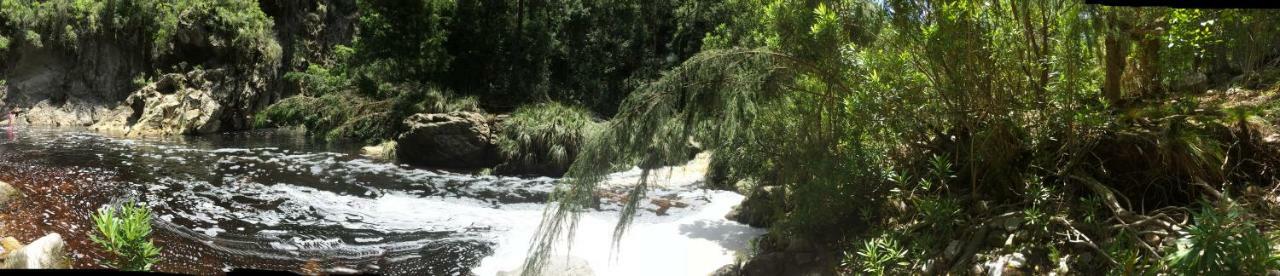 Teniqua Treetops Luxury tent Karatara Settlement