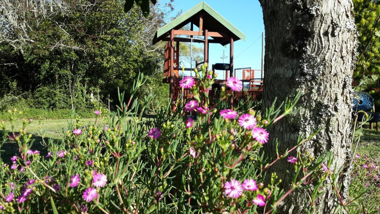 Teniqua Treetops Luxury tent