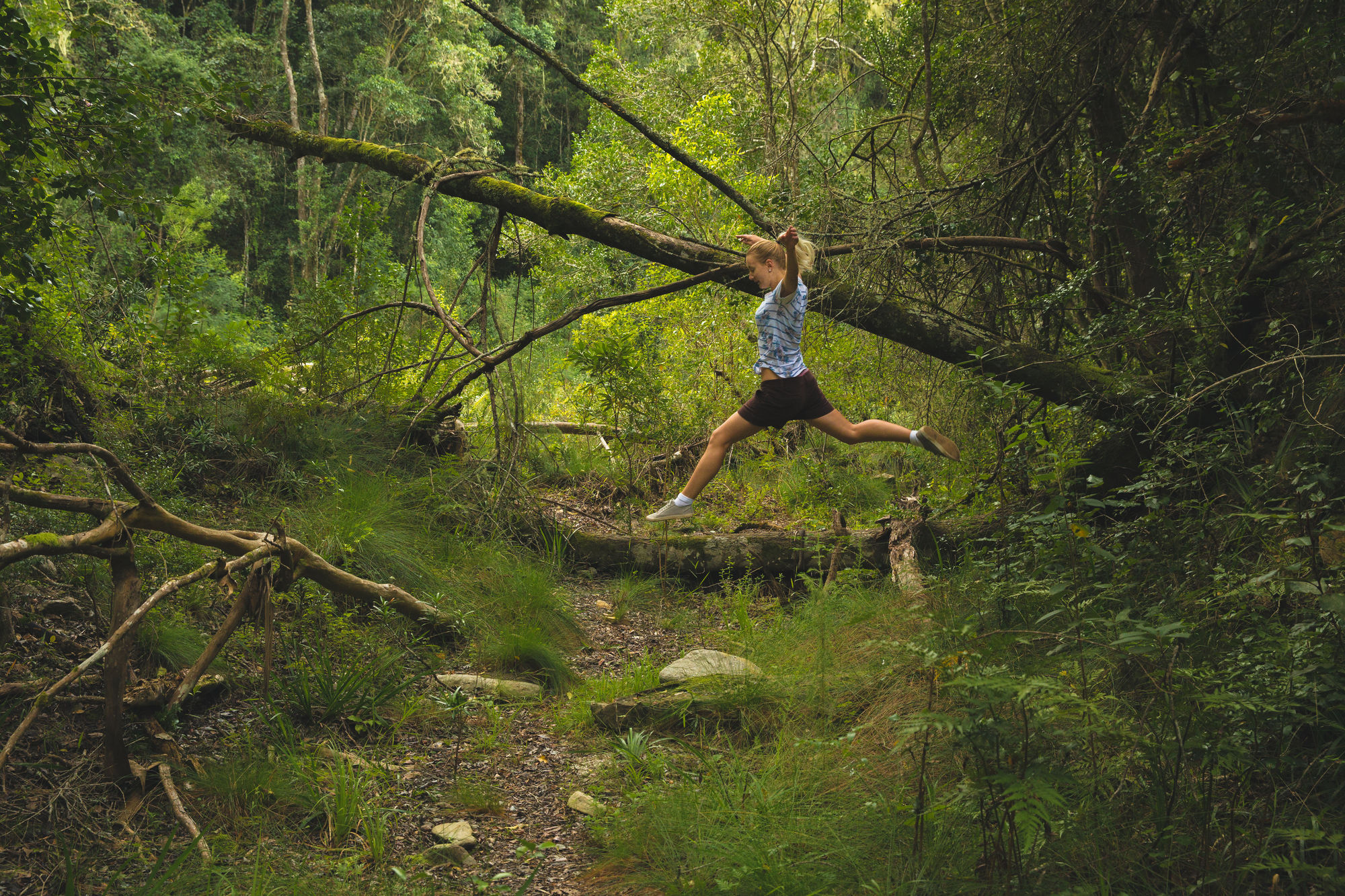 Teniqua Treetops Luxury tent 3*