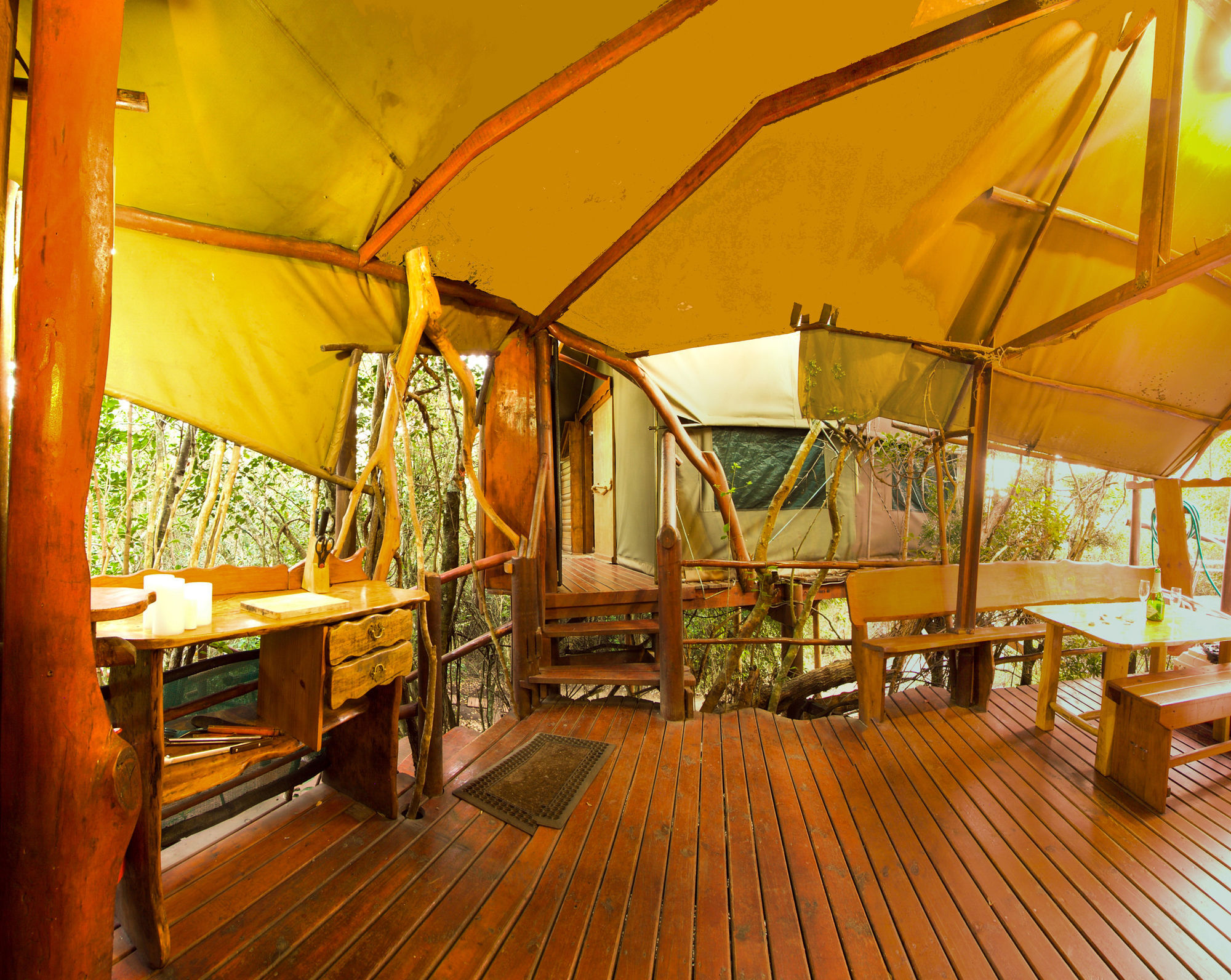 Teniqua Treetops Luxury tent Karatara Settlement