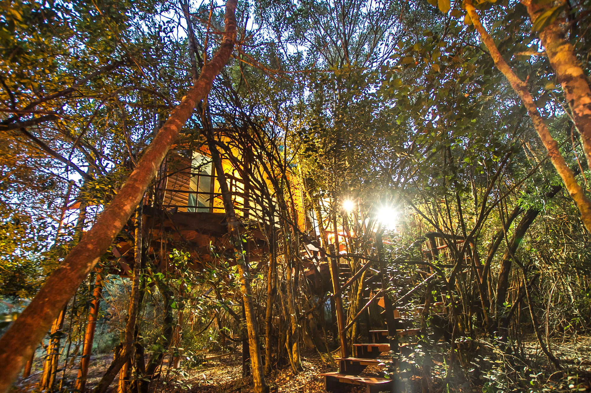 Teniqua Treetops Luxury tent 3*