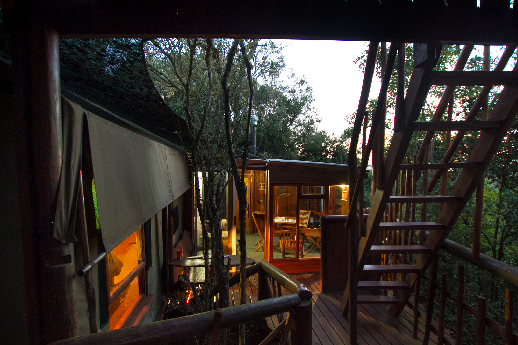 Teniqua Treetops Karatara Settlement