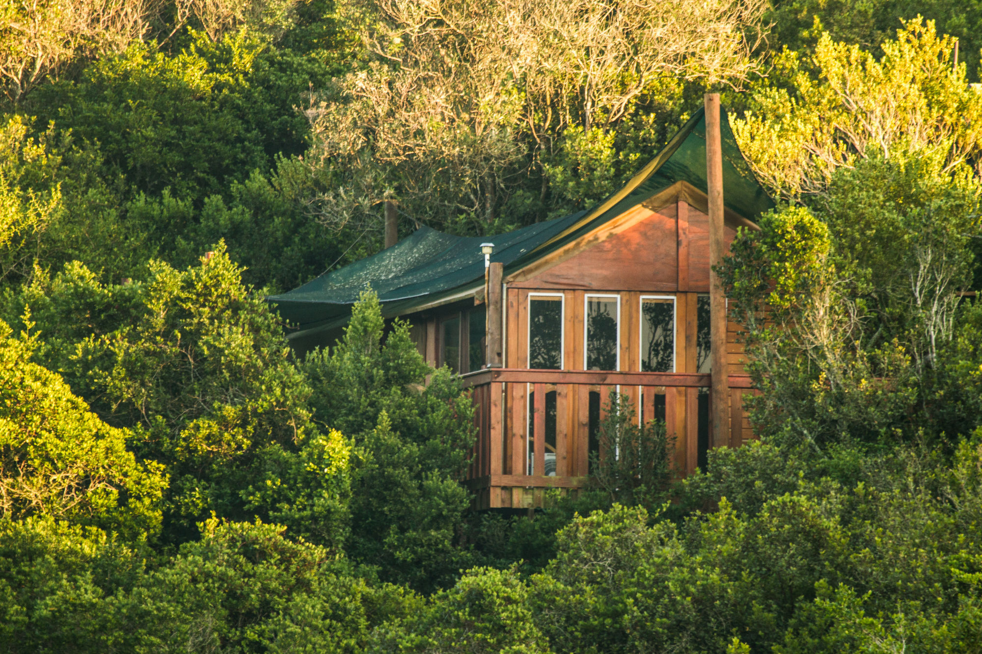 Teniqua Treetops 3*
