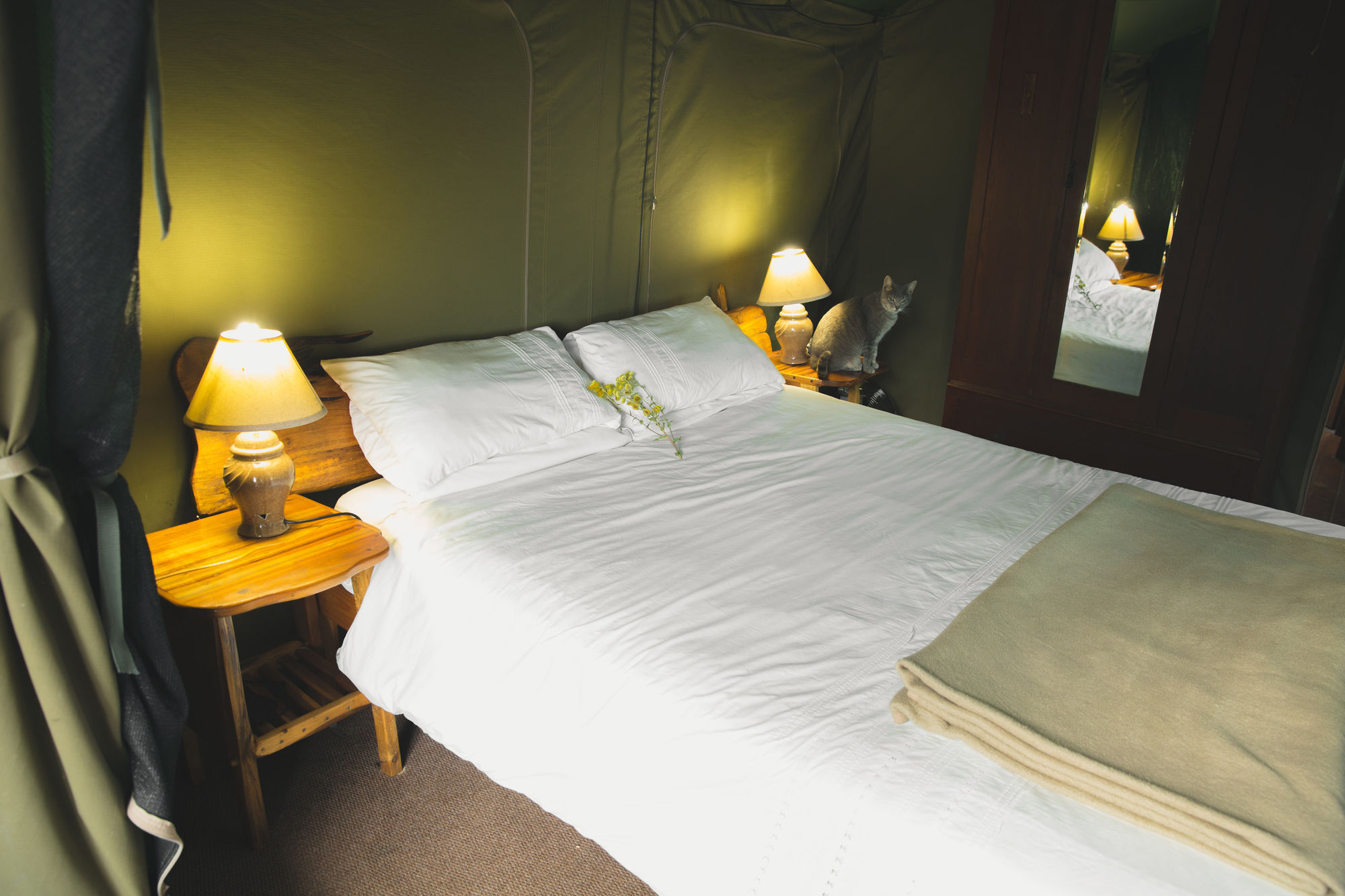 Luxury tent Teniqua Treetops Karatara Settlement