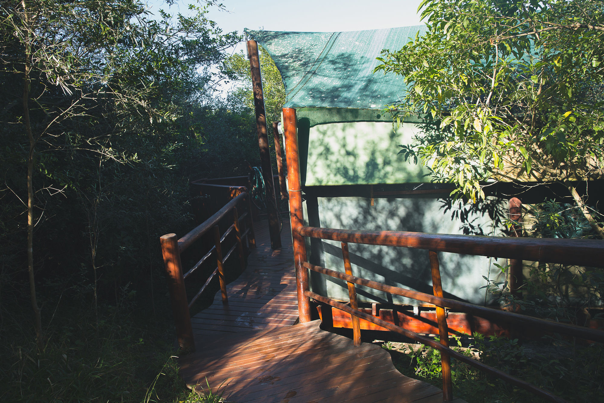 Teniqua Treetops Luxury tent