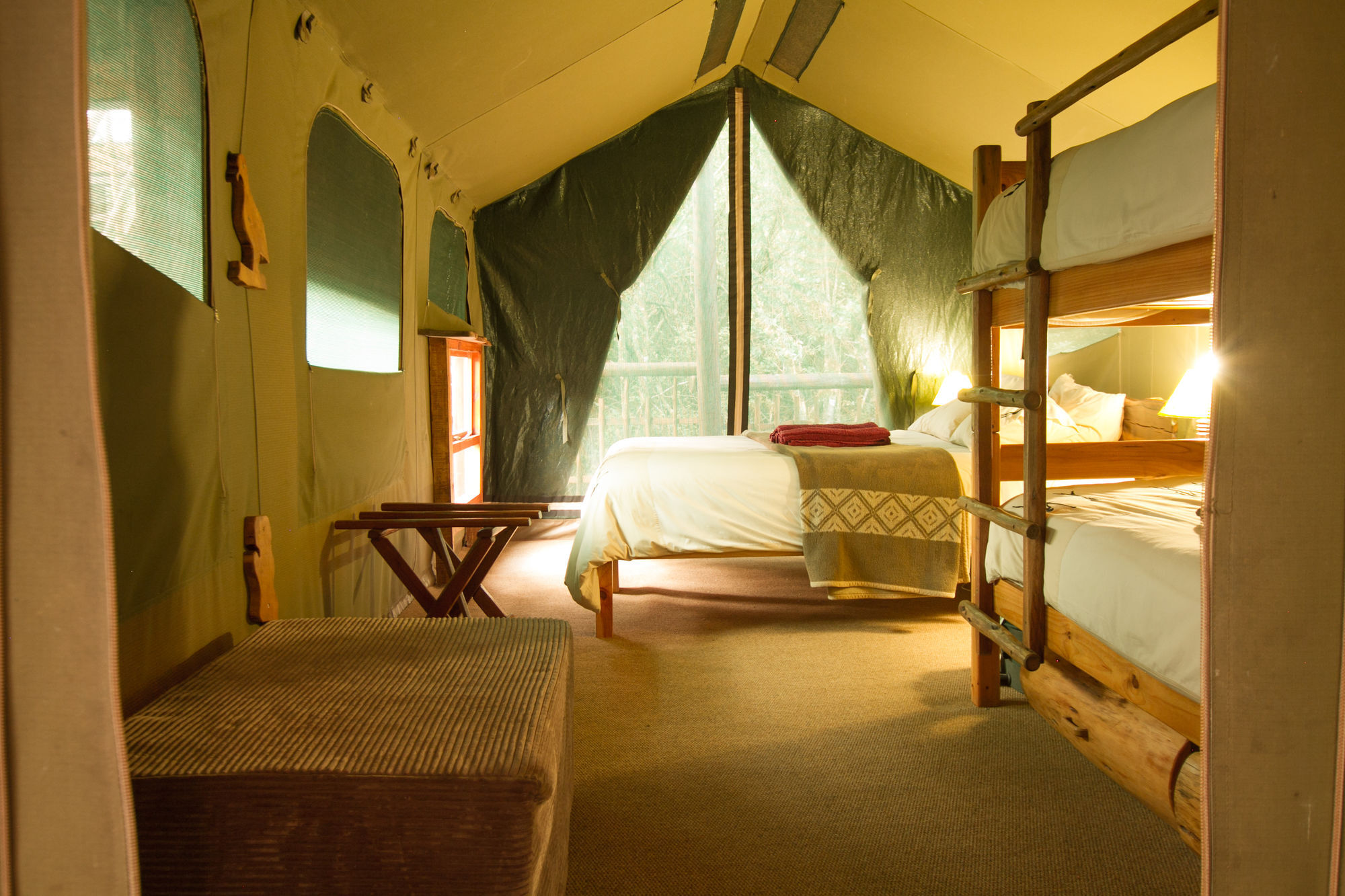 Teniqua Treetops Luxury tent