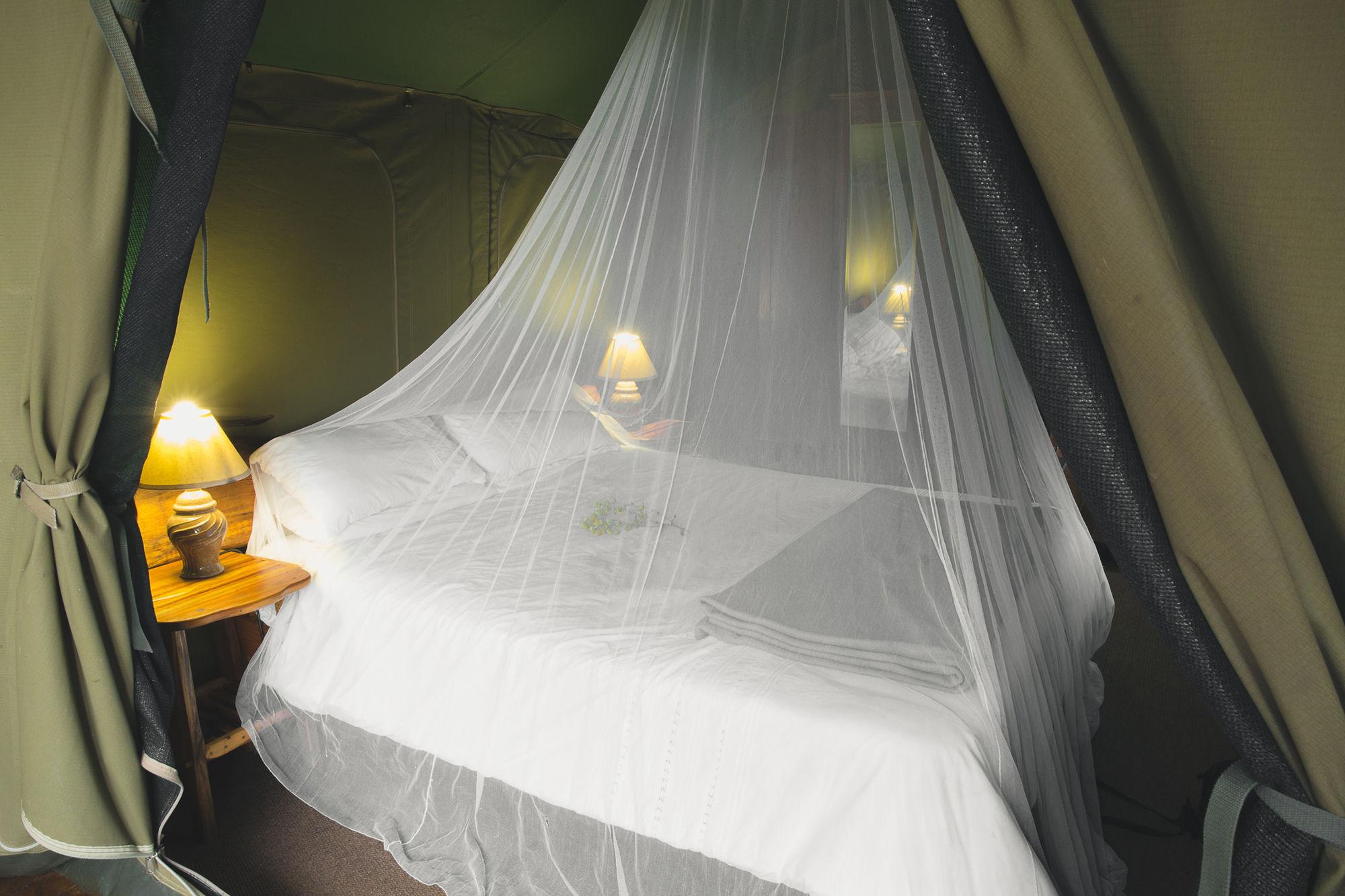 Luxury tent Teniqua Treetops